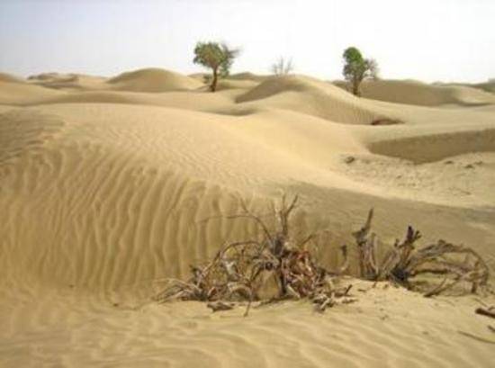 中国最大的沙漠