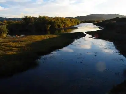 惟一的河狸自然保护区