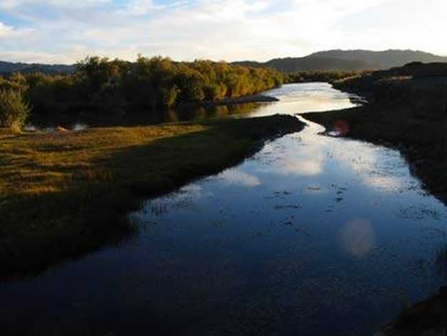 惟一的河狸自然保护区,图二