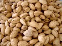 巴旦杏种植面积最广的省区