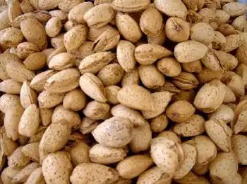 巴旦杏种植面积最广的省区,图一