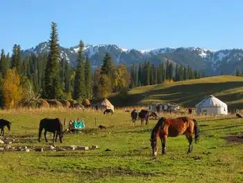 中国日积雪最深的地方,图二