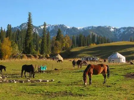中国日积雪最深的地方