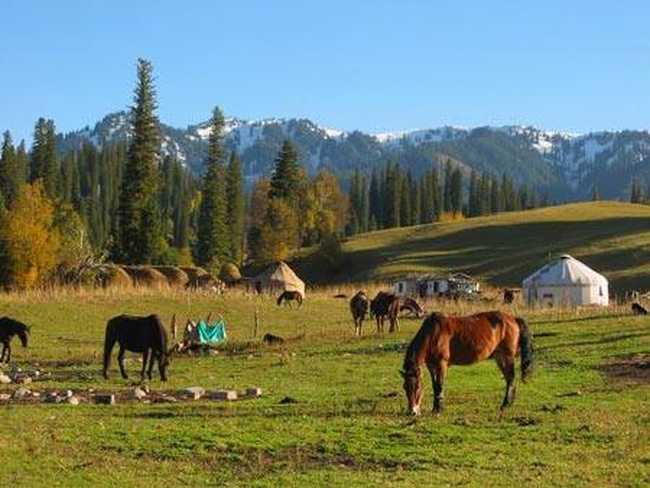 中国日积雪最深的地方,图二