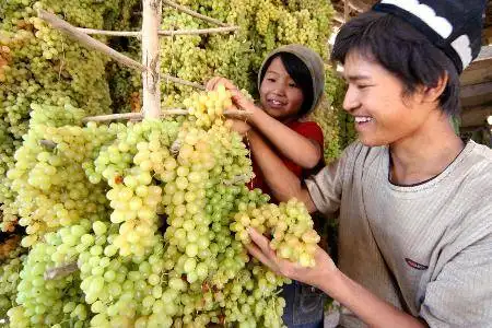 中国夏季最炎热的地方