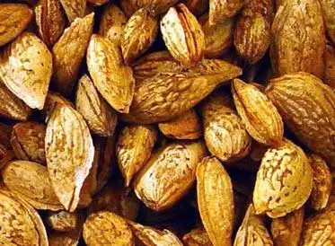 巴旦杏种植面积最广的省区