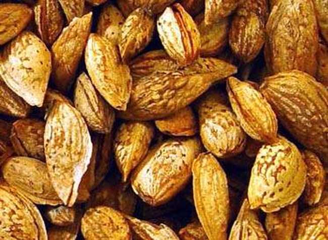 巴旦杏种植面积最广的省区,图二