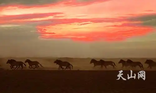 中国面积最大的省区