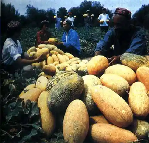 最大的内陆盆地