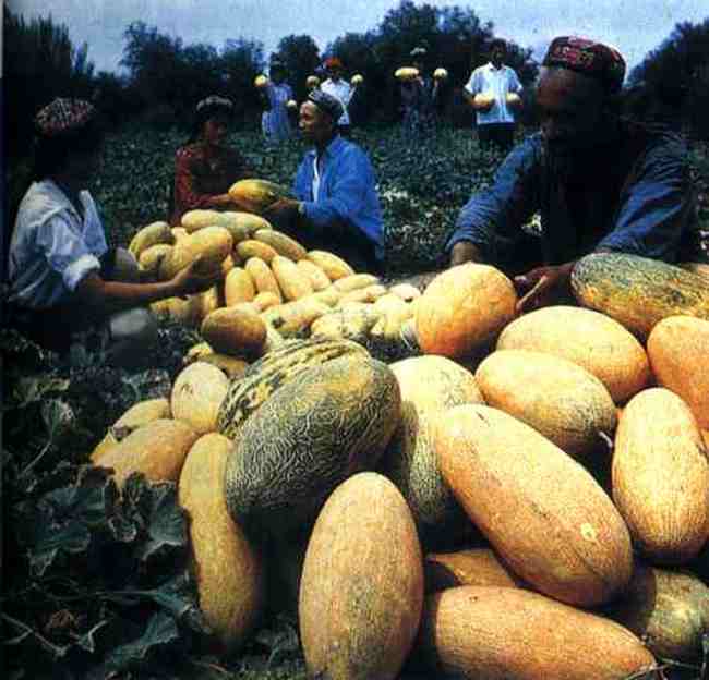 最大的內(nèi)陸盆地,圖三