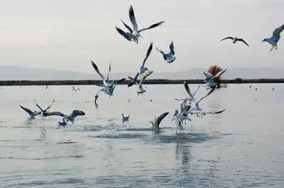 中国最大的内陆淡水湖