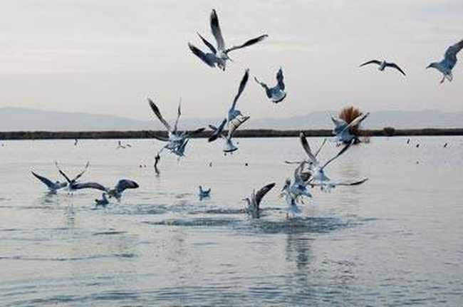 中国最大的内陆淡水湖,图二