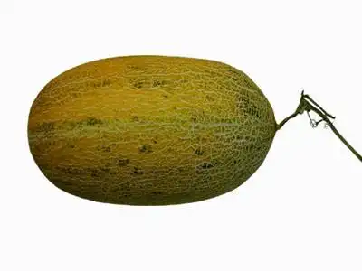 人均占有瓜果最多的省区