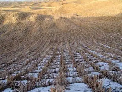 中国惟一和最长的沙漠公路