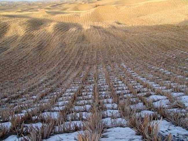 中國惟一和最長的沙漠公路,圖三