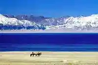 赛里木湖、薰衣草、果子沟、那拉提草原、巴音布鲁克5日浪漫之旅