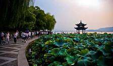 华东五市“乌镇.南浔”厦门.鼓浪屿.武夷山单飞三卧13日“纯玩游”