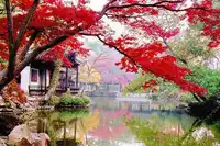 华东五市“乌镇”、木渎、海口、兴隆、三亚四飞11日游