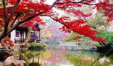 华东五市“乌镇”、木渎、海口、兴隆、三亚四飞11日游