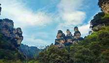 庐山、南昌、井冈山、韶山、长沙、张家界三卧15日游