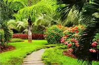 新疆到香格里拉之行：昆明、大理、丽江、香格里拉八日高品游