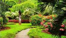 新疆到香格里拉之行:昆明、大理、丽江、香格里拉八日高品游