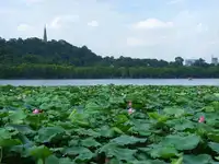 佛國(guó)江南杭州.普陀山+雙水鄉(xiāng)“烏鎮(zhèn)西柵.西塘”雙飛7日游