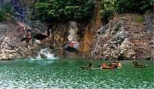 至尊江西行庐山.婺源.三清山.景德镇  四飞8日游