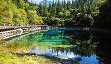 成都.九寨.牟尼沟.峨眉.乐山+海口.兴隆.三亚四星+桂林.北海四飞15日