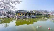 海南、桂林、北海、阳朔、华东五市、水乡乌镇、中国馆四飞一船十五日游