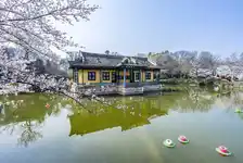 海南、桂林、北海、阳朔、华东五市、水乡乌镇、中国馆四飞一船十五日游