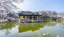 海南、桂林、北海、阳朔、华东五市、水乡乌镇、中国馆四飞一船十五日游