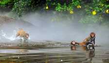 海口兴隆三亚、广州深圳珠海4飞10日纯玩游