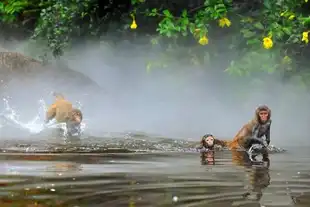 海口兴隆三亚、广州深圳珠海4飞10日纯玩游