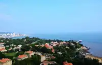 华东五市厦门.鼓浪屿.武夷山三飞11日游