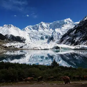 2026藏东秘境 漫步云中仙境·探秘世外桃源·纯玩11/13日