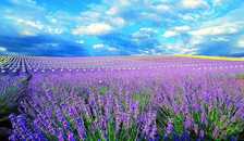 跟随课本游新疆·新丝路欢乐行10日夏令营