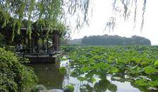 亲子游故宫.长城.北大或清华.南京大屠杀纪念馆.常州恐龙乐园单飞10日