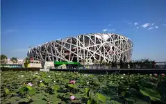 夏令营研学游：北京、大连、青岛、济南单飞11日