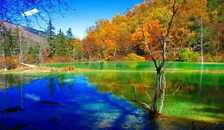 亲子游 纯净九寨 成都.九寨沟.黄龙(四天).峨眉山（全景）.乐山大佛 双飞8日