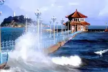 夕阳红 北京/大连/旅顺/烟台/威海/青岛/济南单飞12日