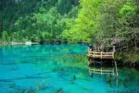 成都九寨沟黄龙贵阳黄果树瀑布重庆单飞13日畅游之旅