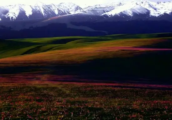 包车游玩幻灯片