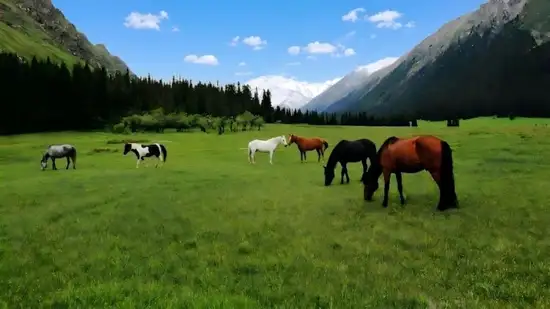 包车游玩幻灯片