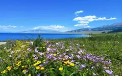 伊犁深度11日游|赛里木湖+独库公路+S101公路+夏塔古道+喀拉峻草原+那拉提草原
