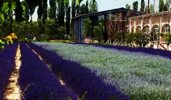 H09号-那拉提,巴音布鲁克,赛里木湖,昭苏,喀拉峻火车双卧七日深度游