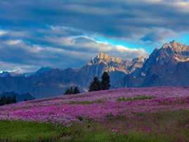 賽湖、夏塔、喀拉峻、那拉提、巴音布魯克、天池、吐魯番往返10日游