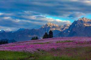 賽湖、夏塔、喀拉峻、那拉提、巴音布魯克、天池、吐魯番往返10日游