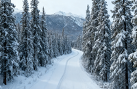 2025·双湖之恋 双湖八日游（冬季） （商务车） （小车拼车、纯玩无购物！）