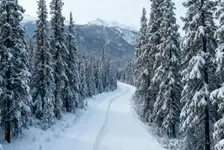 2025·双湖之恋 双湖八日游（冬季） （商务车） （小车拼车、纯玩无购物！）